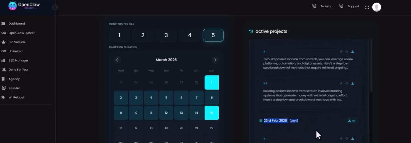 inside the app dashbard active project section