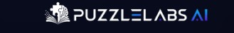 puzzle labs ai oto